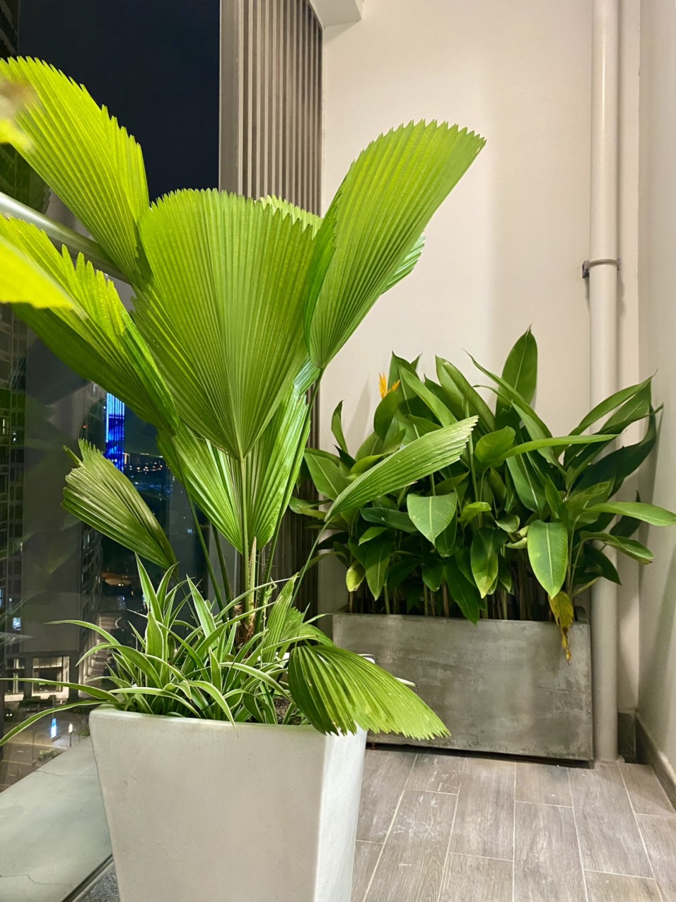 Cho thuê căn hộ Midtown M7 Phú Mỹ Hưng. Diện tích: 80 m, 2 phòng ngủ, nhà mới decor. Nội thất cao cấp, giá chỉ: 28 tr/ tháng. Quý khách xem nhà liên hệ: hotline Ngọc Thư ( zalo, viber) - 2408