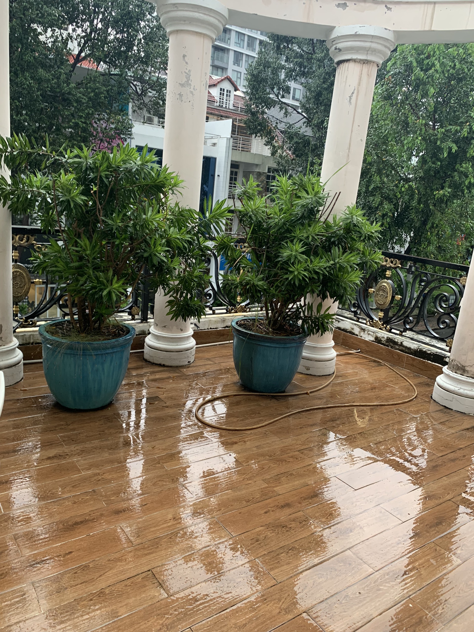 Cho thuê biệt thự đơn lập Nam Thiên, Phú Mỹ Hưng. Diện tích: 320m, 6 phòng ngủ, có hầm xe, thang máy, sân vườn, nội thất cao cấp. Giá chỉ: 119 triêu/ tháng. Quý khách xem nhà liên hệ: hotline Ngọc Thư - 2691